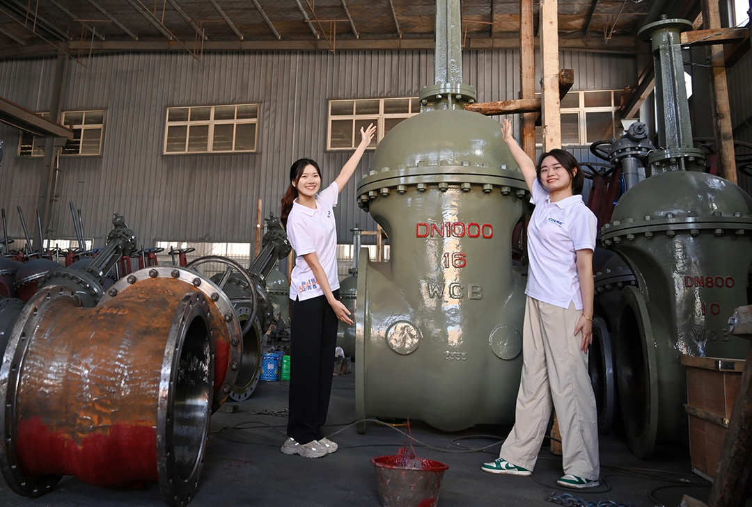 大型自動(dòng)化閥門，已成為現(xiàn)代化工業(yè)管道系統(tǒng)中不可或缺的關(guān)鍵設(shè)備
